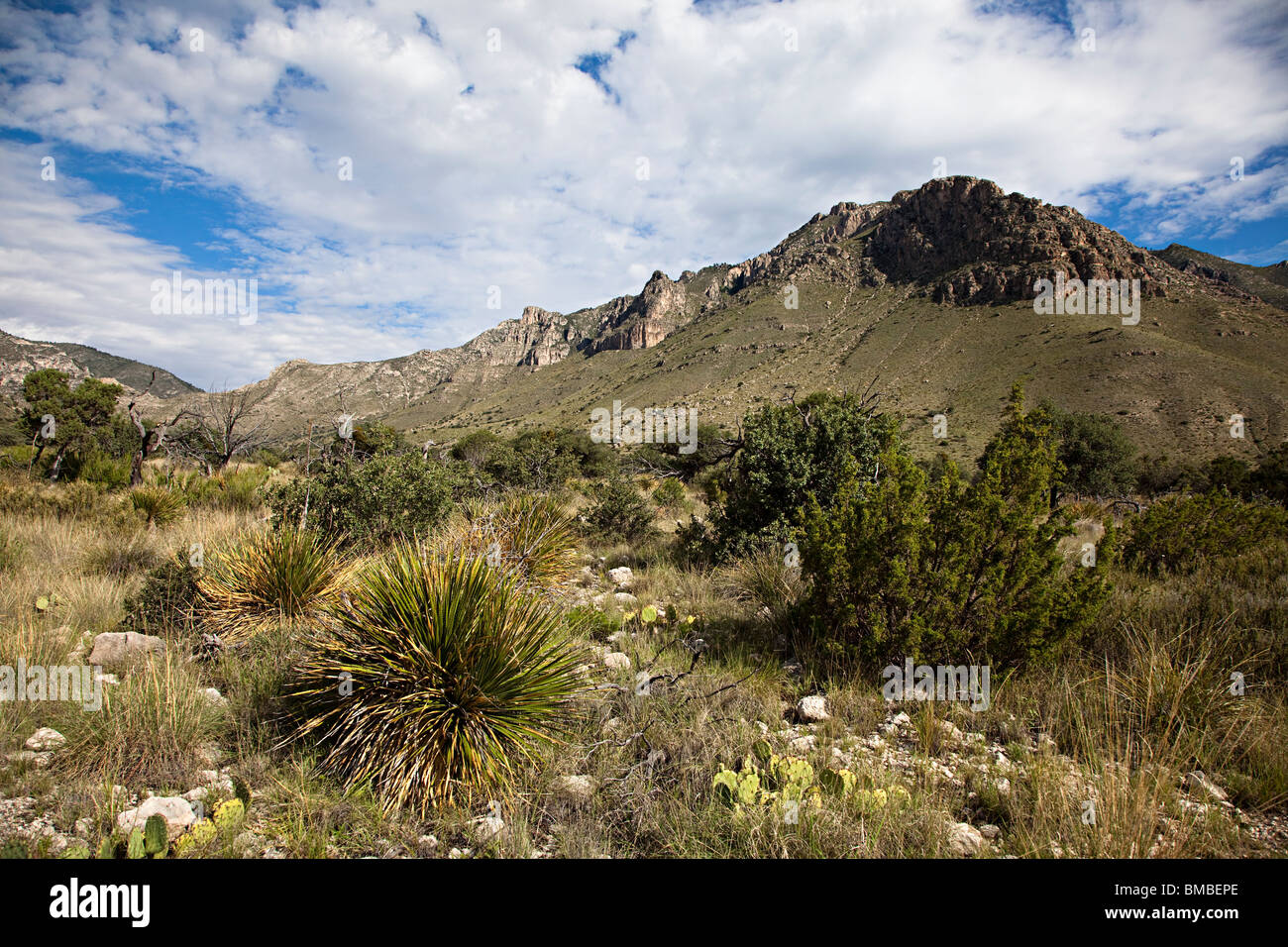 Parco Nazionale delle Montagne Guadalupe Texas USA Foto Stock