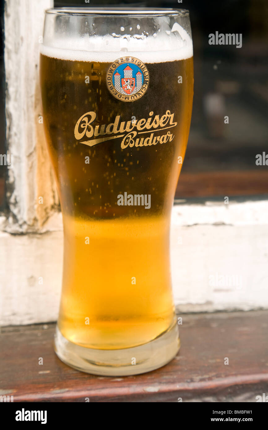 Budweiser Budvar pinta bicchiere di birra Foto Stock