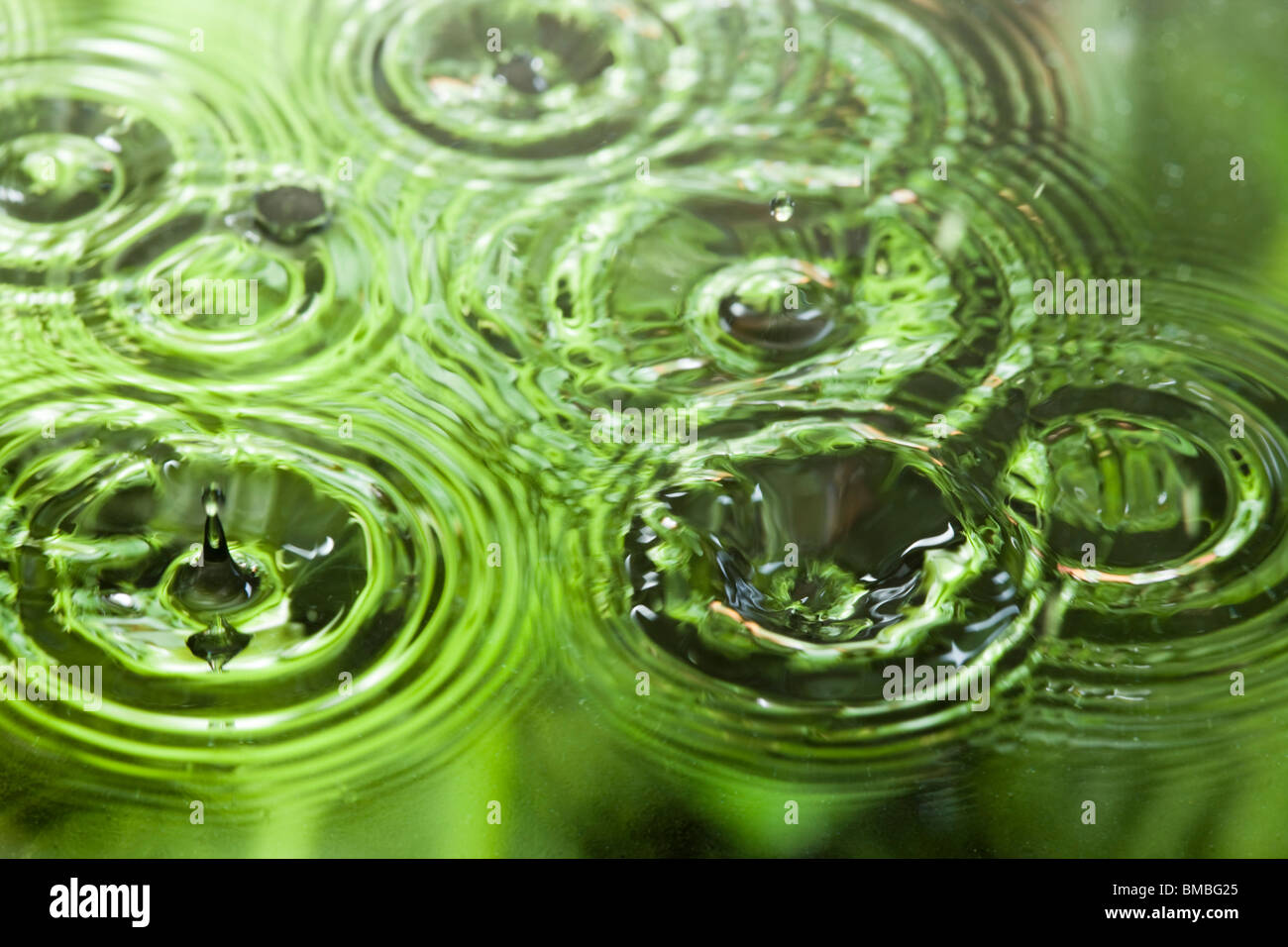 Gocce di pioggia su acqua Foto Stock