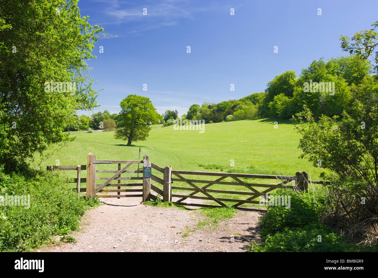 Gate in campo al Ranmore, Dorking, Surrey, Regno Unito Foto Stock