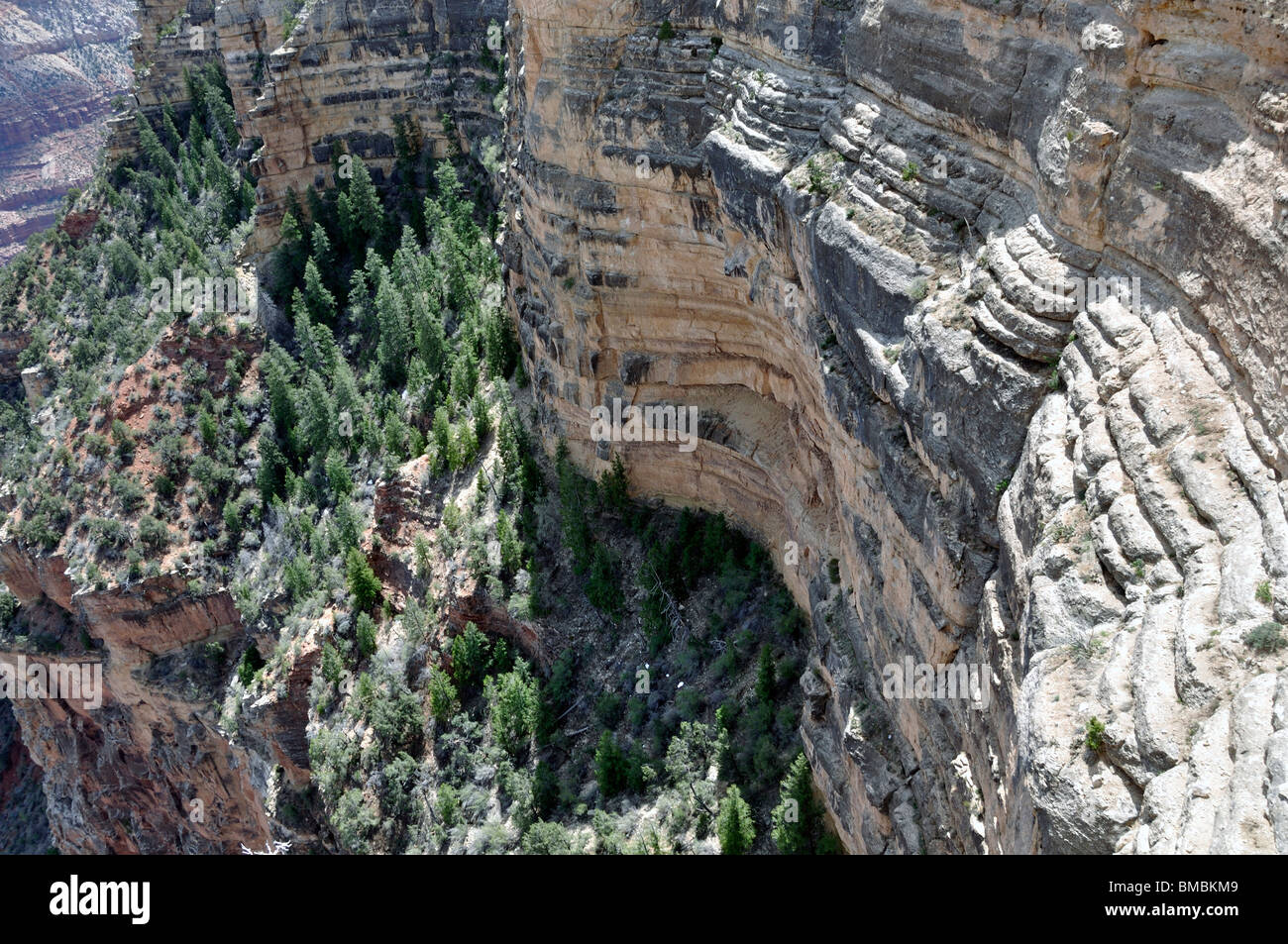 Il Grand Canyon, Arizona, Stati Uniti d'America Foto Stock