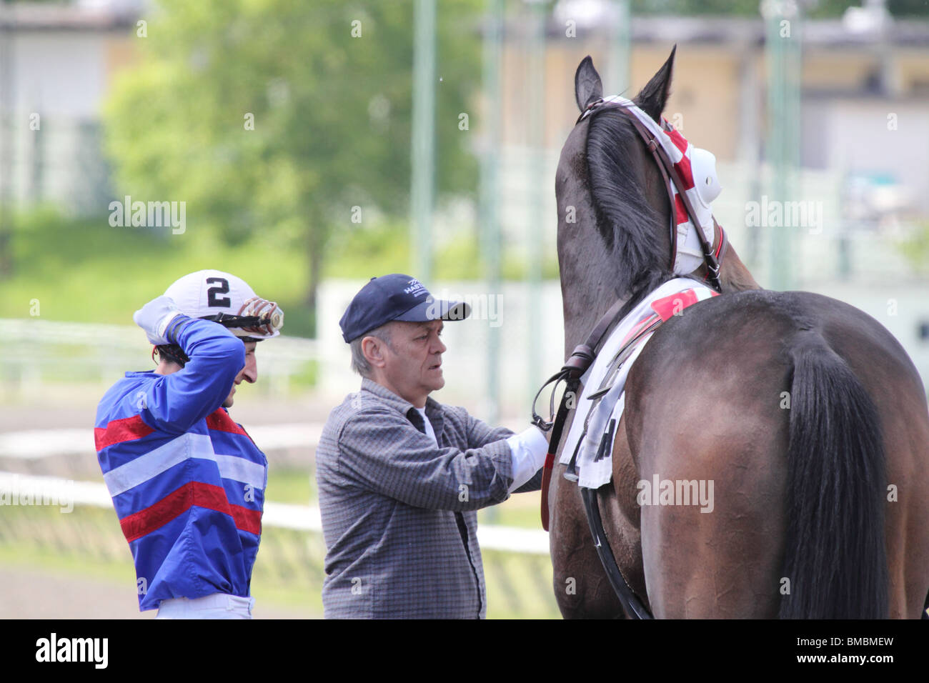 Un groom ONU-incollamento la sua gara cavallo dopo il jockey smontata, Foto Stock