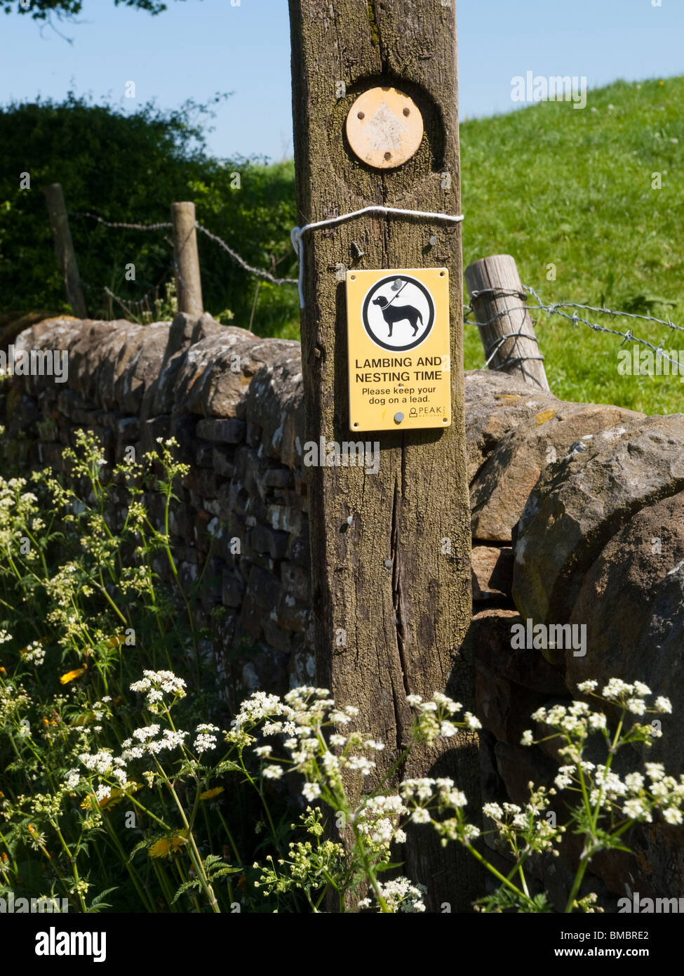 Un segnale di avvertimento per i proprietari di cani circa figliatura e nidificanti nel Peak District, DERBYSHIRE REGNO UNITO Inghilterra Foto Stock