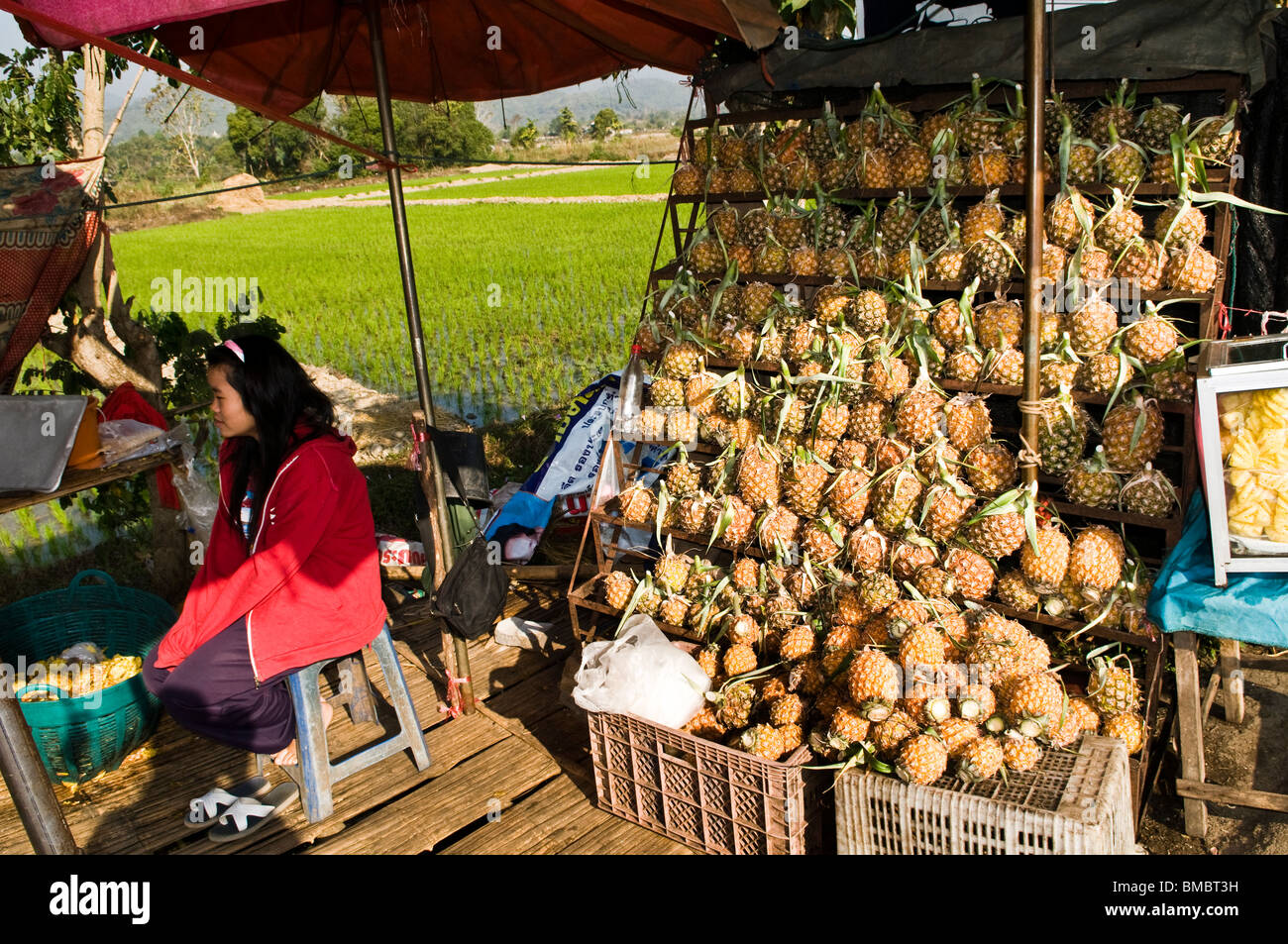 Una banchina bancarella vendendo dolce ananas nel nord della Thailandia. Foto Stock