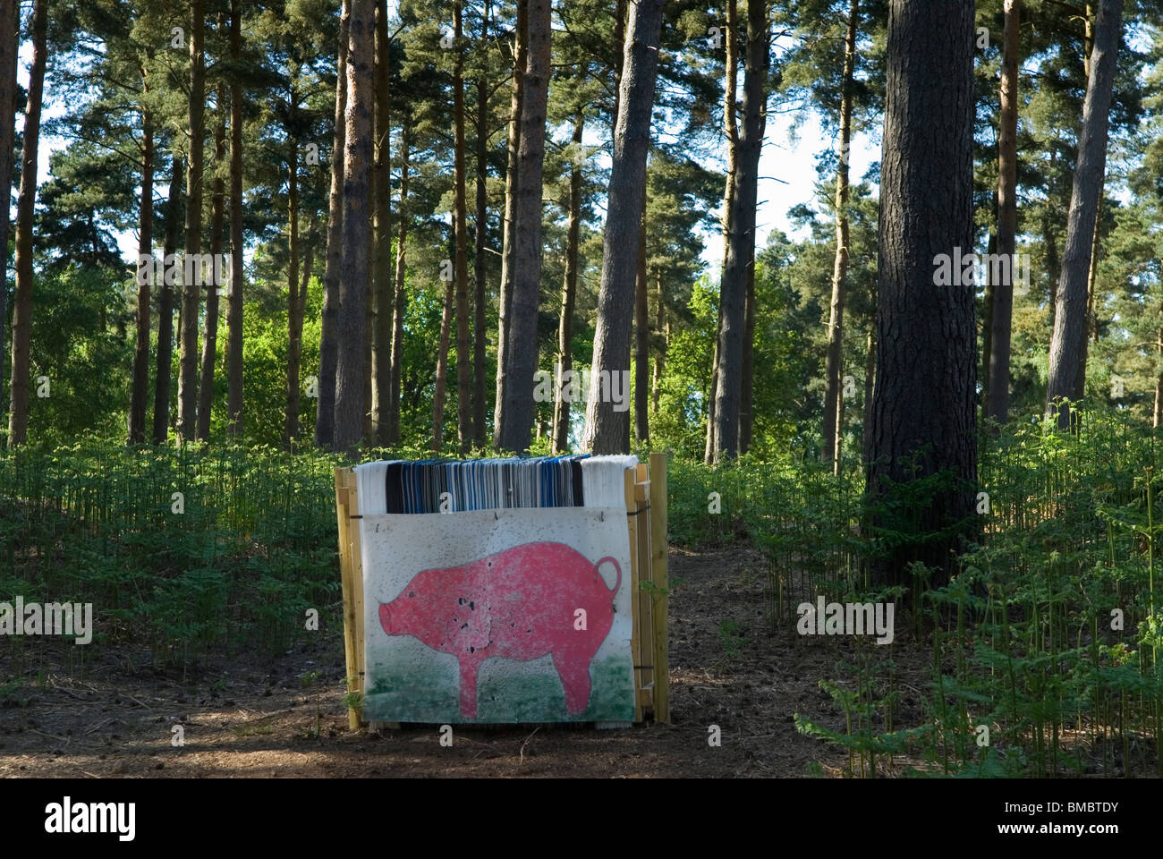 Tiro con l'arco. Bersaglio di cinghiali in un bosco del Surrey. HOMER SYKES degli anni '2010 2010 del Regno Unito Foto Stock