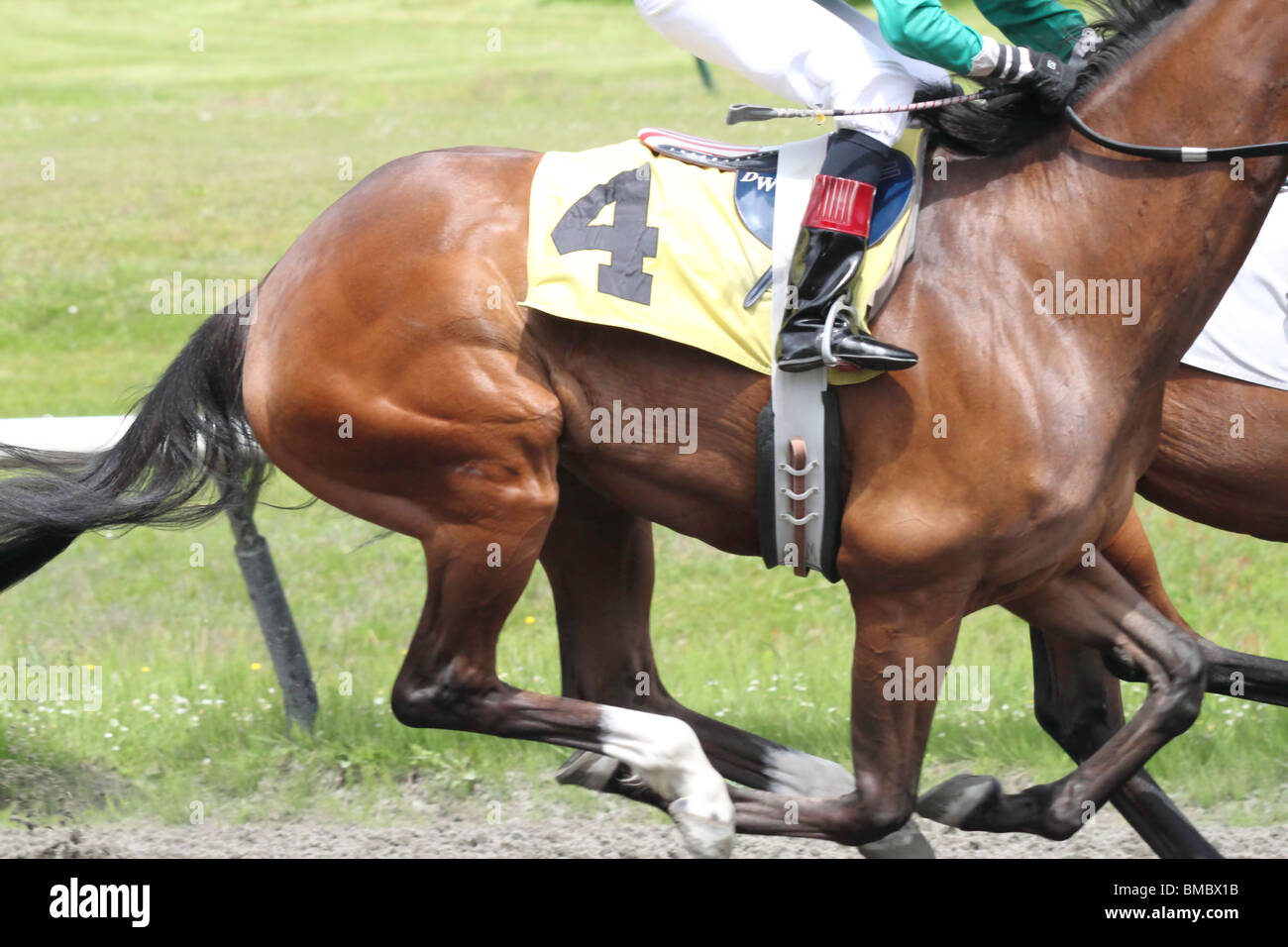 Una chiusura di una corsa di cavalli e jockey come passare dal tratto anteriore Foto Stock