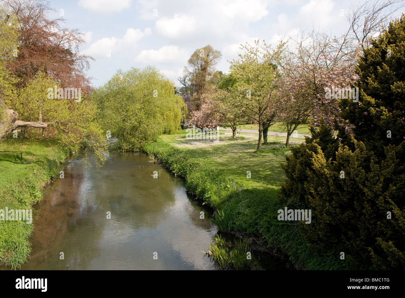 Il fiume Trent in Trentham Gardens Foto Stock