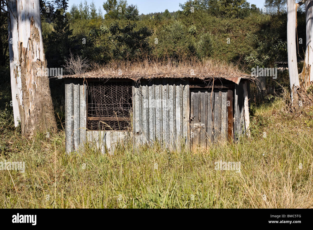 Stagno ondulato shack in ambiente rurale. Midlands, KwaZulu Natal, Sud Africa. Foto Stock