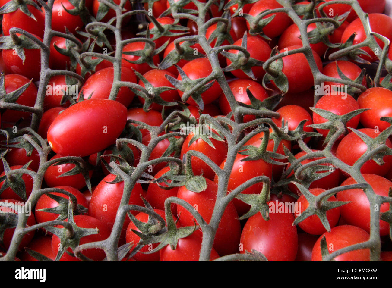 Abstract di pomodori esposti per la vendita in negozio da un mercato Foto Stock