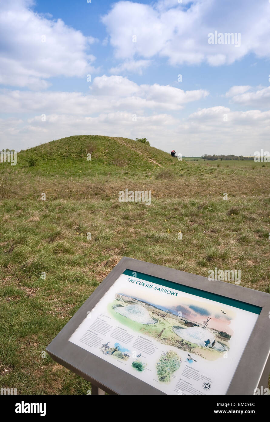 Cursus carriole accanto a Stonehenge vicino a Salisbury, Wiltshire, Inghilterra, Regno Unito Foto Stock