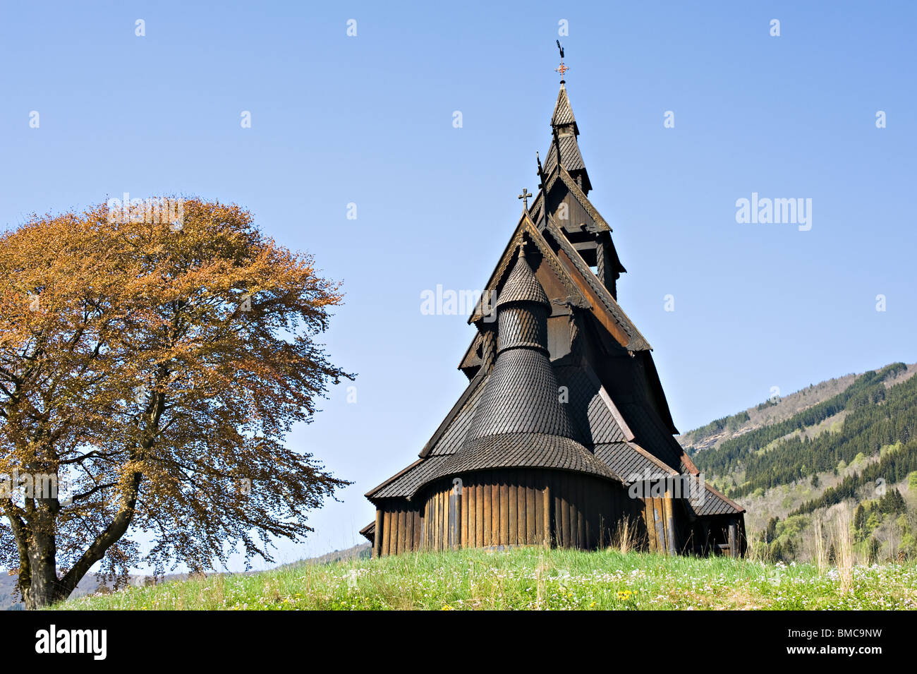 La bellissima Hopperstad norvegese a doghe in legno chiesa di Vik con colorati Coppr Faggio Sognefjord in Norvegia Foto Stock
