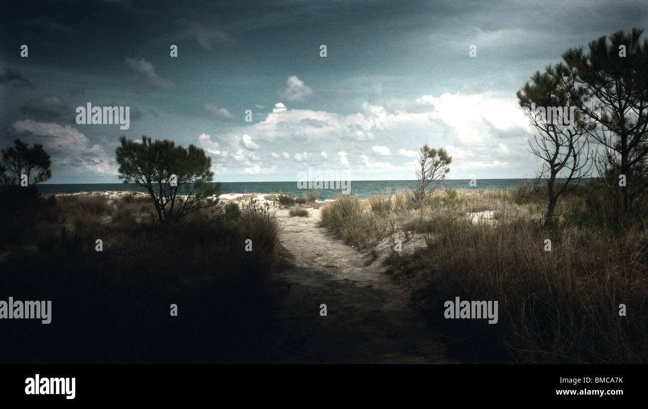 Spiaggia, percorso sentier,plage, playa, sky, il cielo, il ciel Foto Stock