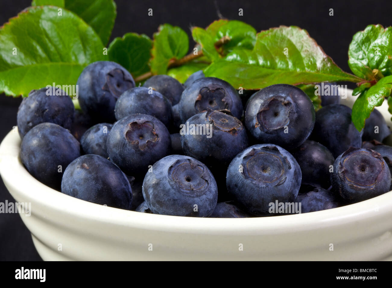 I mirtilli in una ciotola bianco con sfondo nero Foto Stock