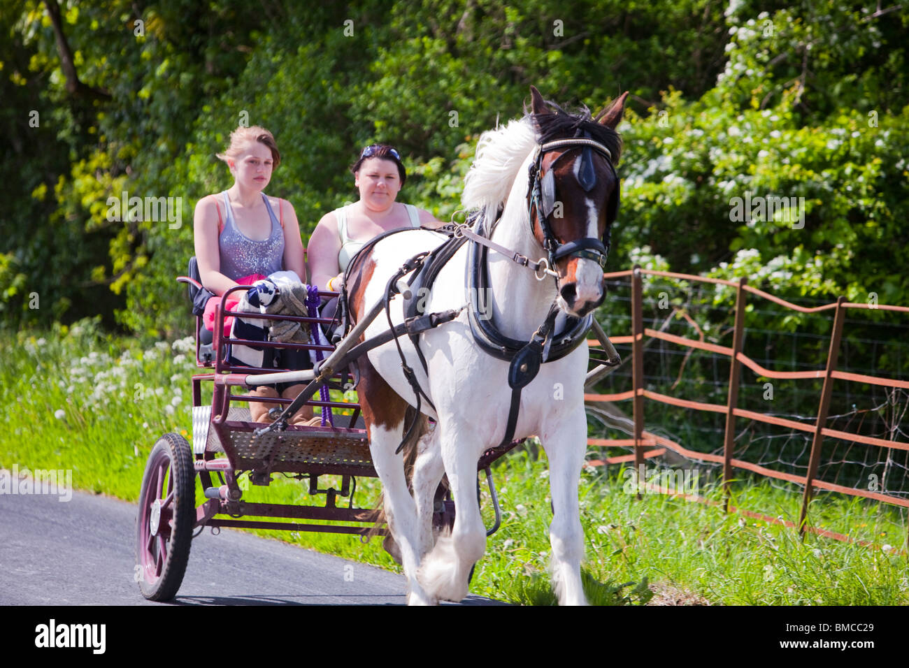 Gypsy è in viaggio verso la Appleby Horse Fair a cavallo e trappole, vicino a Kirkby Lonsdale, Cumbria, Regno Unito. Foto Stock