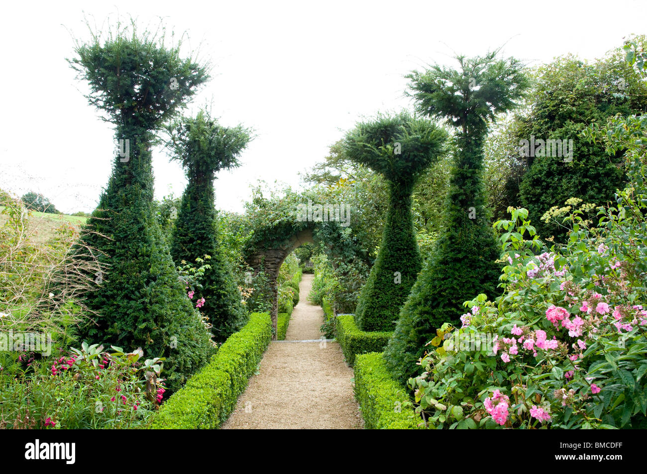Giardino delle Rose con Yew alberi a Hanham giardini di corte, Cotswolds, REGNO UNITO Foto Stock