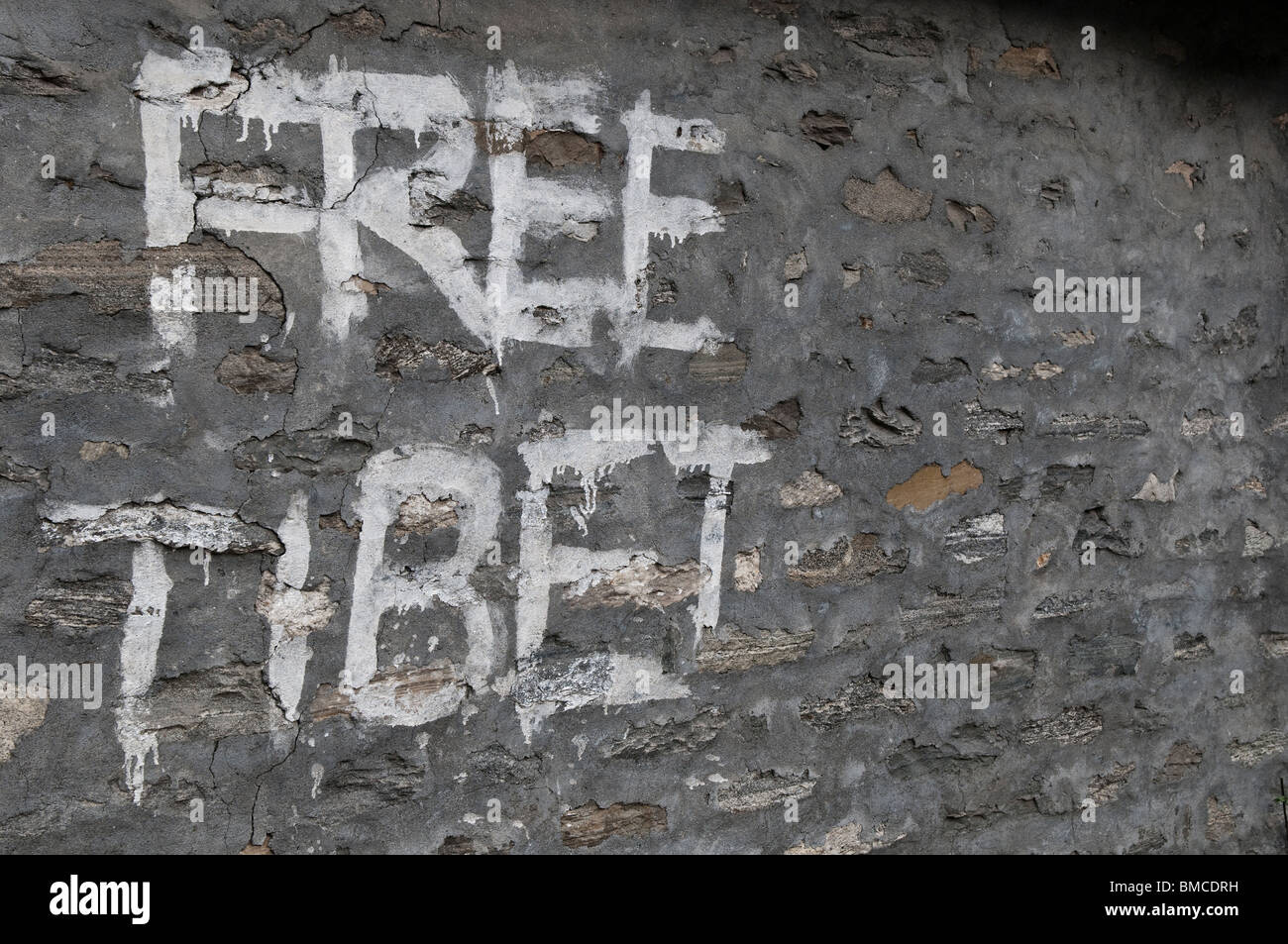 Free Tibet graffiti, Pokhara/Tashipalkhel villaggio tibetano a Hyangja Foto Stock