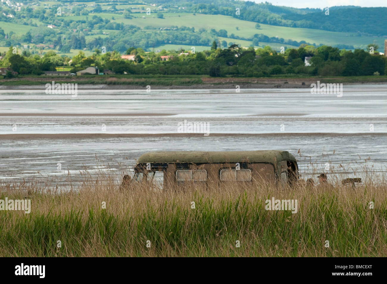 Medio Nascondi a Slimbridge WWT sulle rive del fiume Severn, Gloucestershire Foto Stock