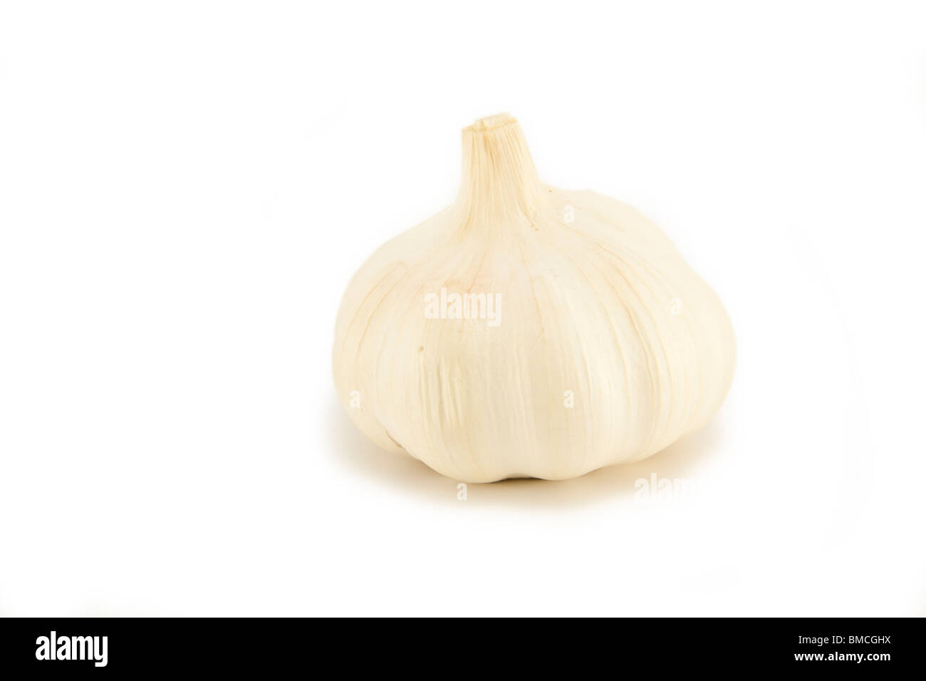 Aglio intero su bianco Foto Stock