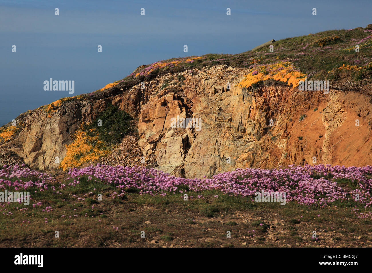 Sito Ramsar in Gaffoine, Alderney, Channel Island, Regno Unito Foto Stock