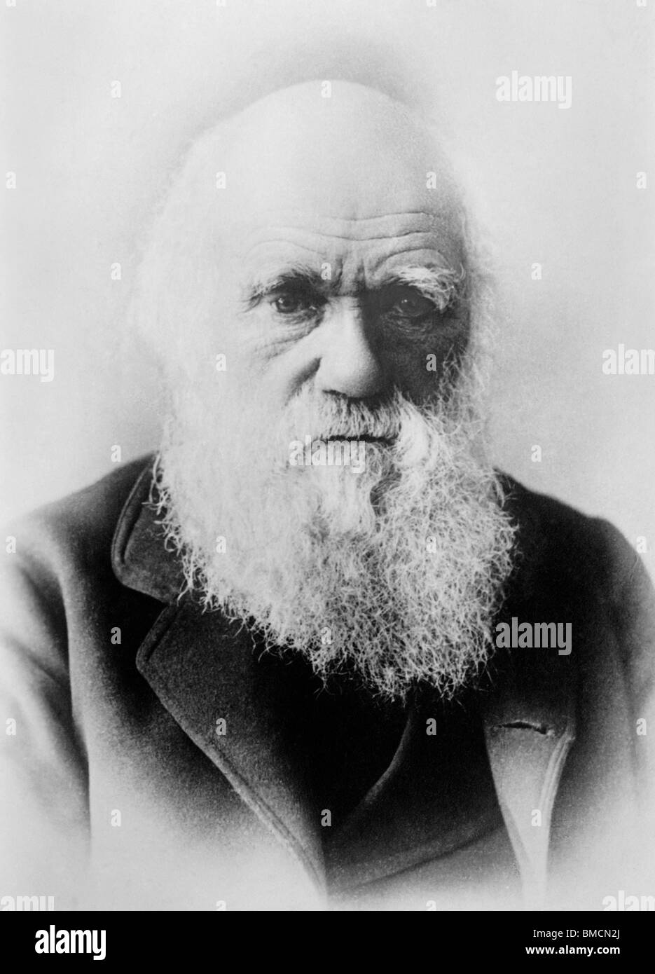 Vintage foto ritratto circa 1870s di Charles Darwin (1809 - 1882) - il naturalista inglese famoso per la sua teoria dell'evoluzione. Foto Stock