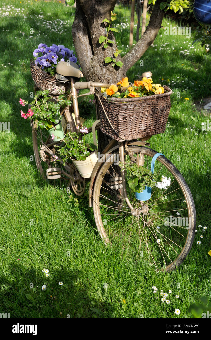 Giardino pansy (viola x wittrockiana) e cranesbills (geranio) su una bicicletta Foto Stock