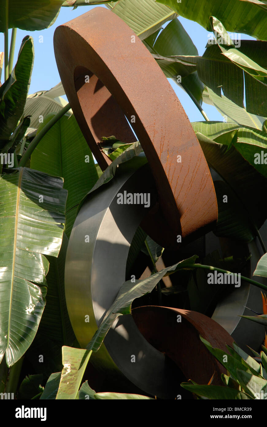 Dettagli dalla Trailfinders Giardino Australiano al Chelsea Flower Show, Londra, 2010. Foto Stock
