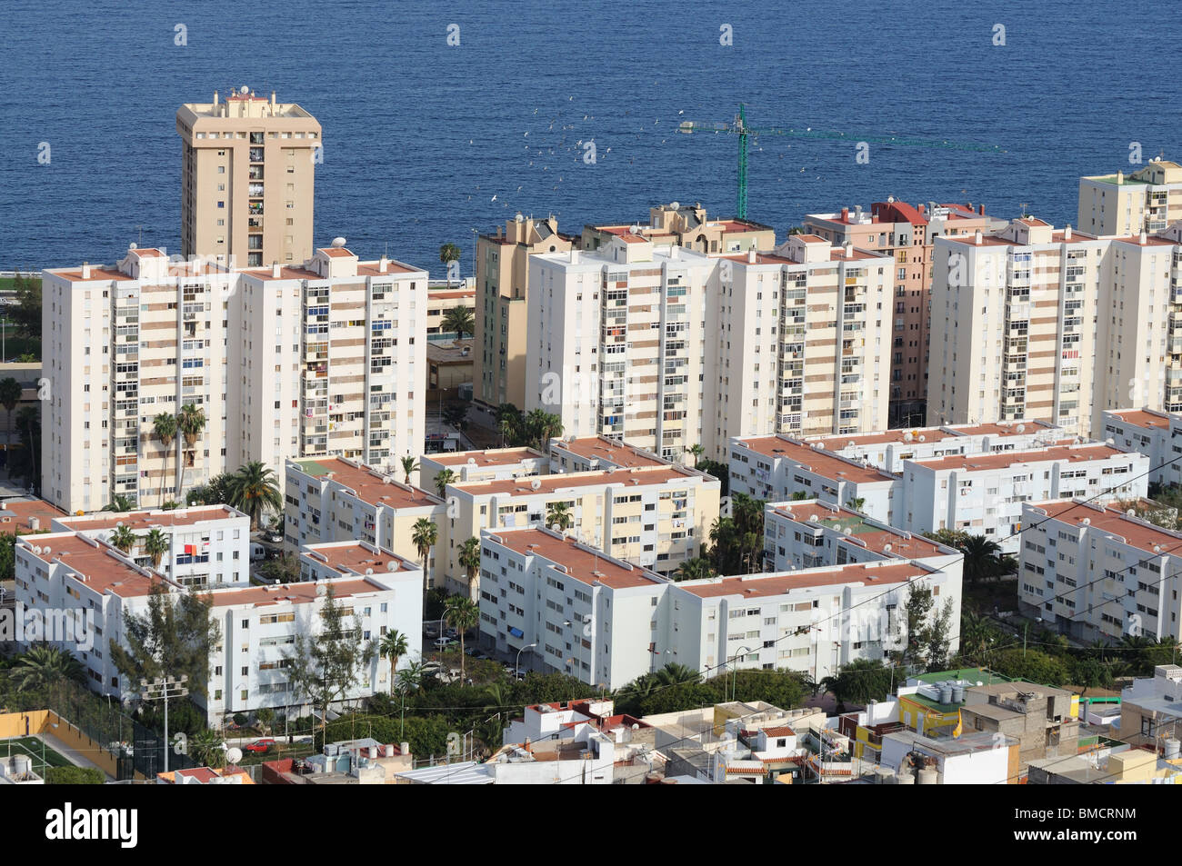 Veduta aerea residenziale quartiere di Las Palmas de Gran Canaria, Spagna Foto Stock