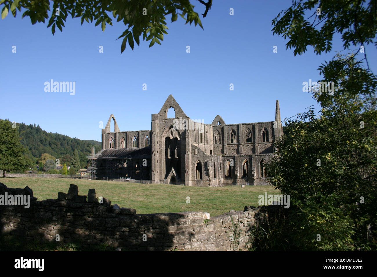 Tintern Abbey (gallese: Abaty Tyndyrn) è stata fondata da Walter de Clare, signore di Chepstow Monmouthshire Foto Stock