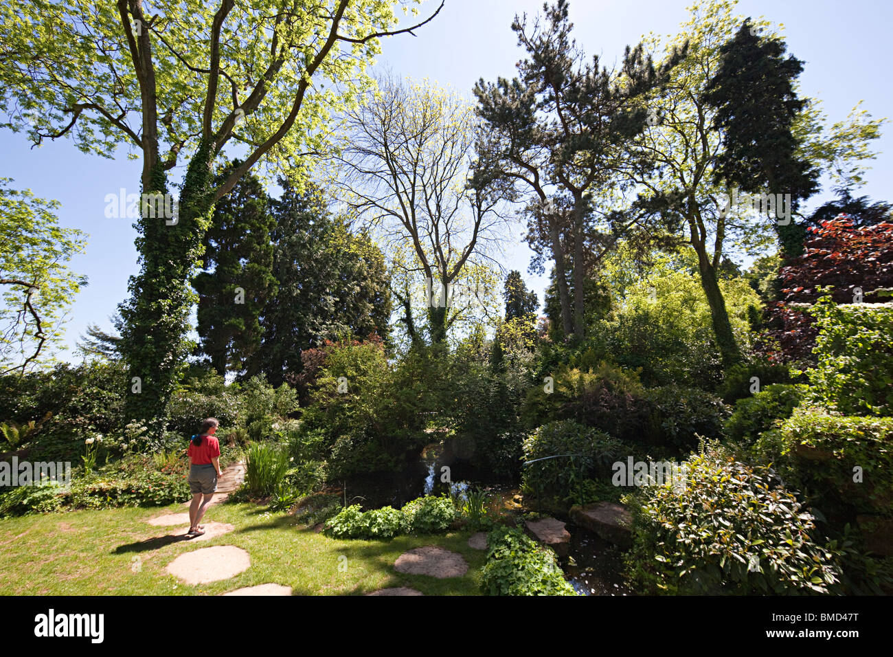 Donna in giardini a Dewstow Wales UK Foto Stock