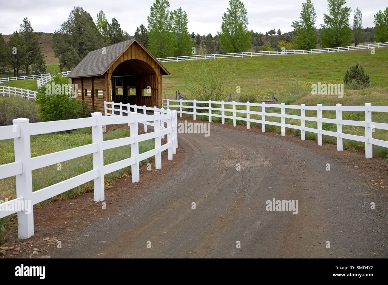 Una rampa di colore bianco recinzione e piccolo ponte coperto in Eastern Oregon vicino alla città di Mitchell, Oregon. Foto Stock