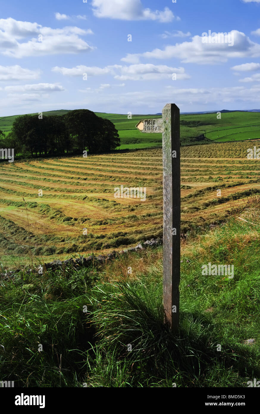 Vista dall'alto picco cycleway trail e il sentiero pedonale lungo in disuso la linea ferroviaria parco nazionale di Peak District derbyshire England Regno Unito Foto Stock