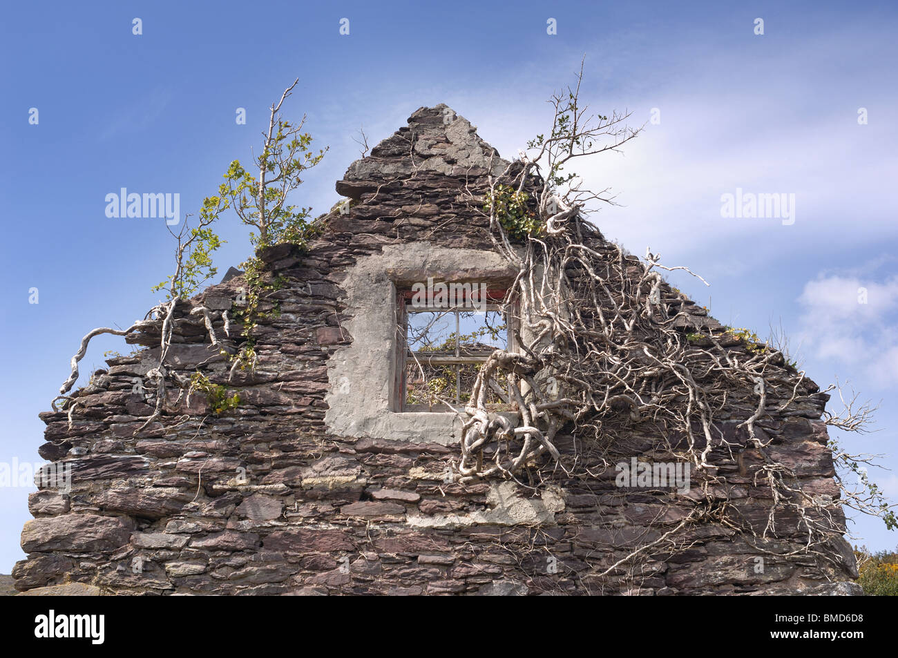 Cottage abbandonati Foto Stock