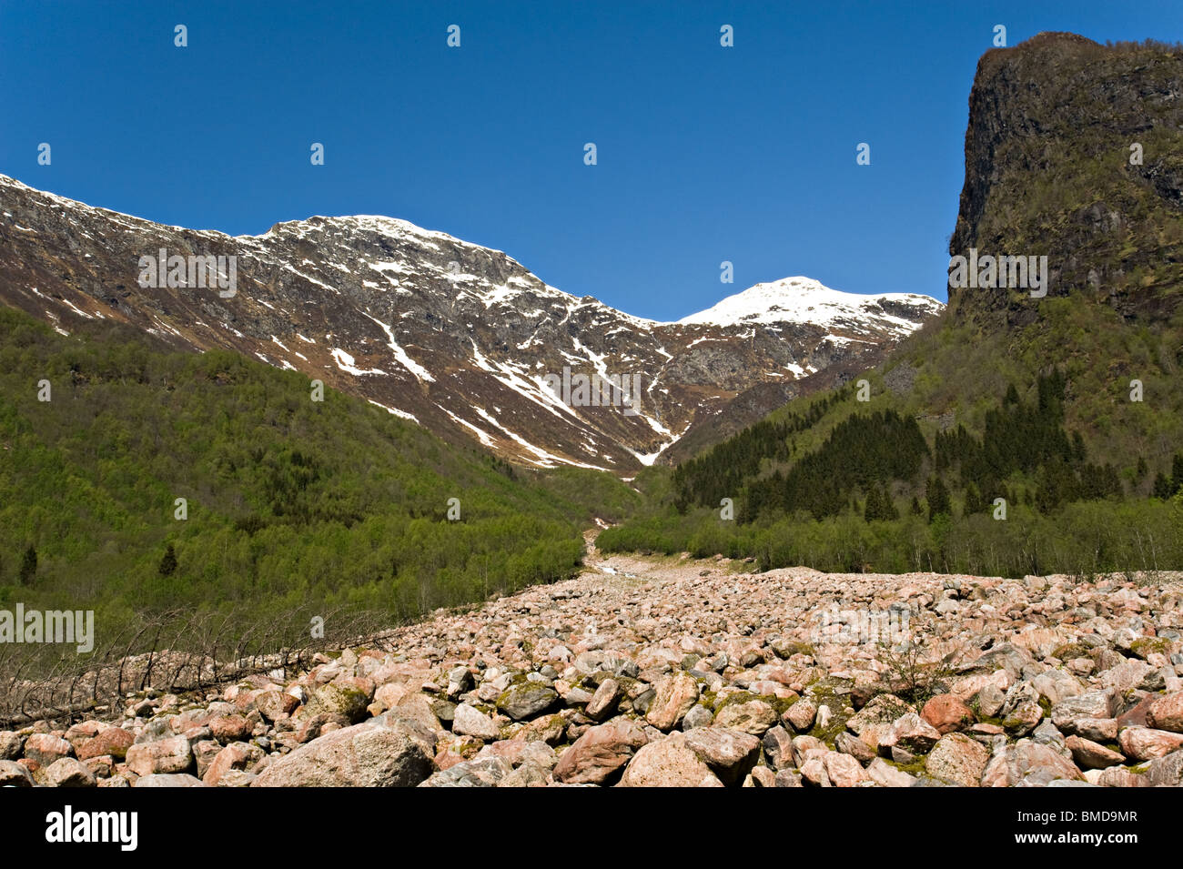 Postumi di una pietra frana causata dal movimento glaciale vicino Flatbrehytta dalla montagna Skeisnipa Fjaerland Norvegia Foto Stock