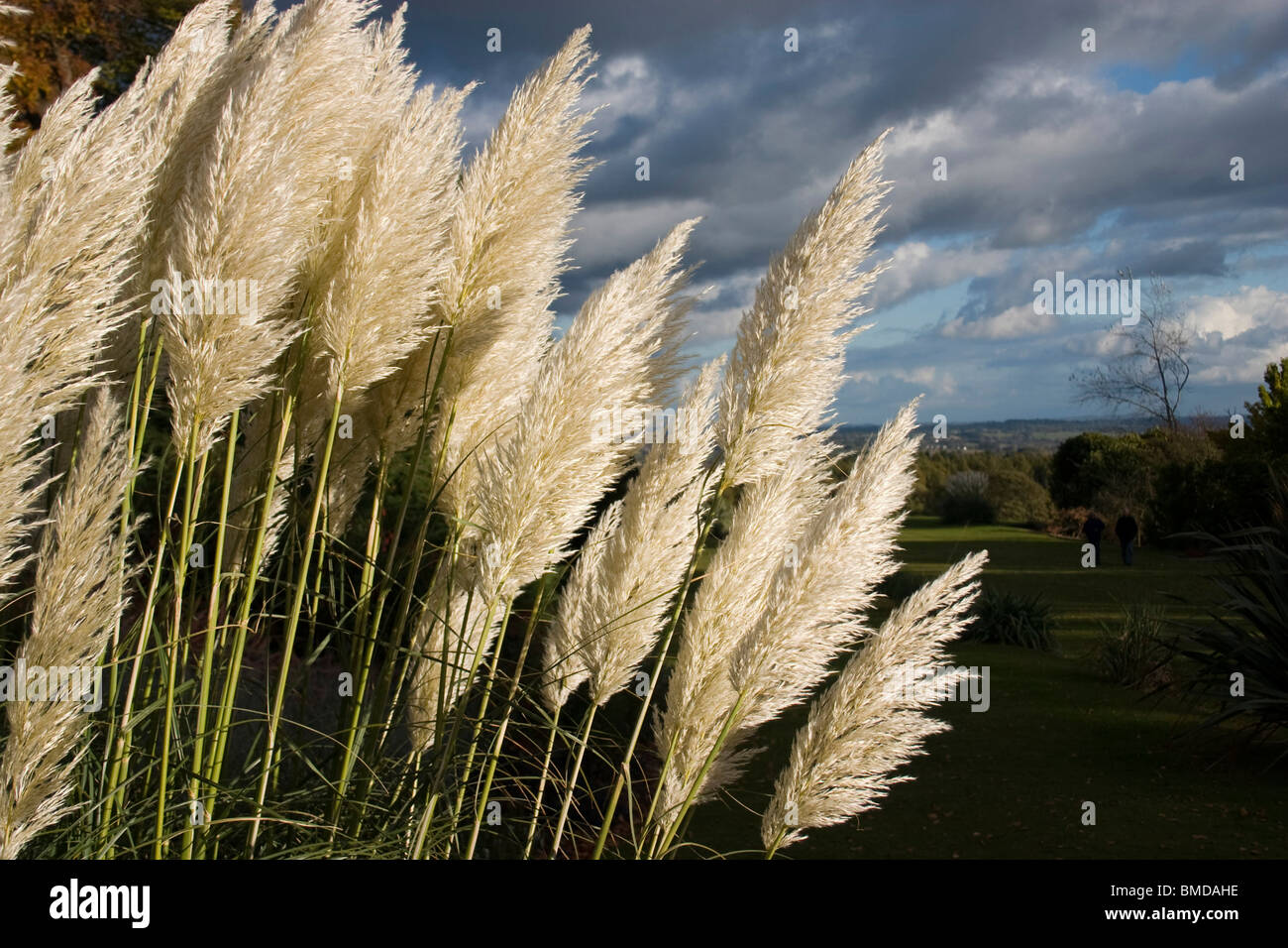 Chirk Castle motivi Foto Stock
