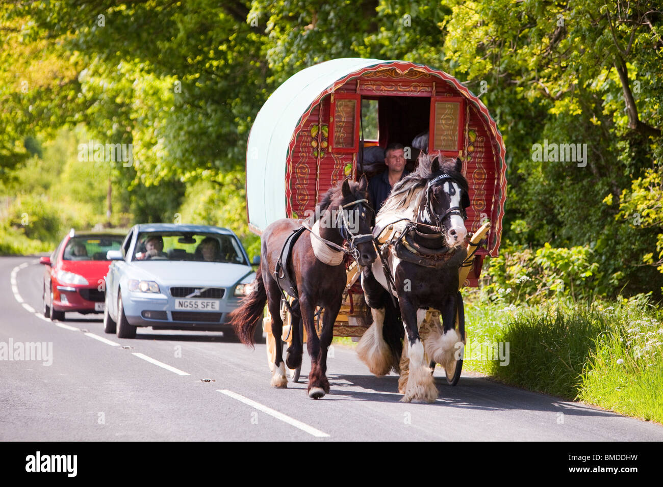 Gypsy è in viaggio verso la Appleby Horse Fair su un cavallo e roulotte vicino a Kirkby Lonsdale, Cumbria, Regno Unito. Foto Stock