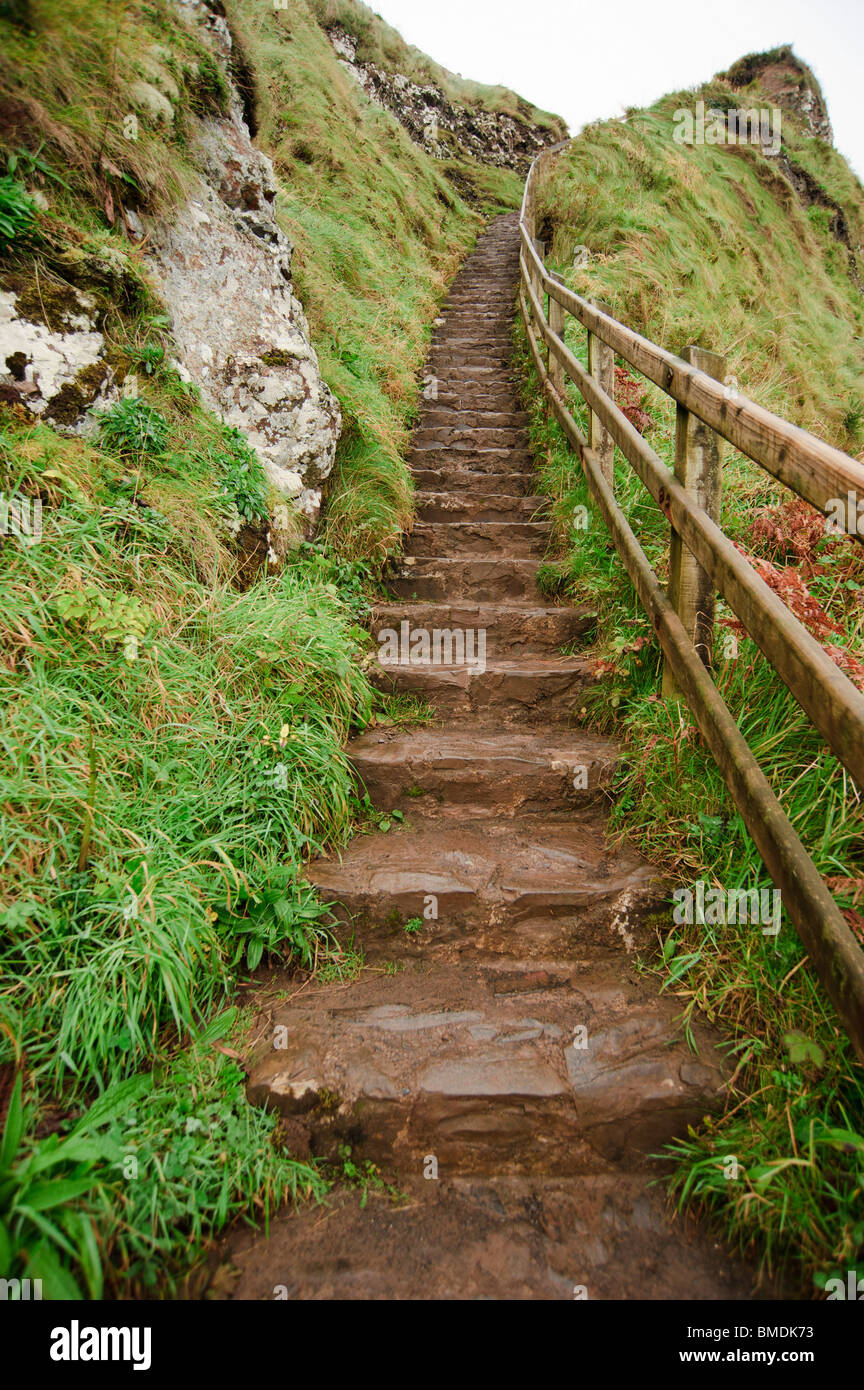 Pastore la procedura, Giant's Causeway, Bushmills, County Antrim, Irlanda del Nord Foto Stock