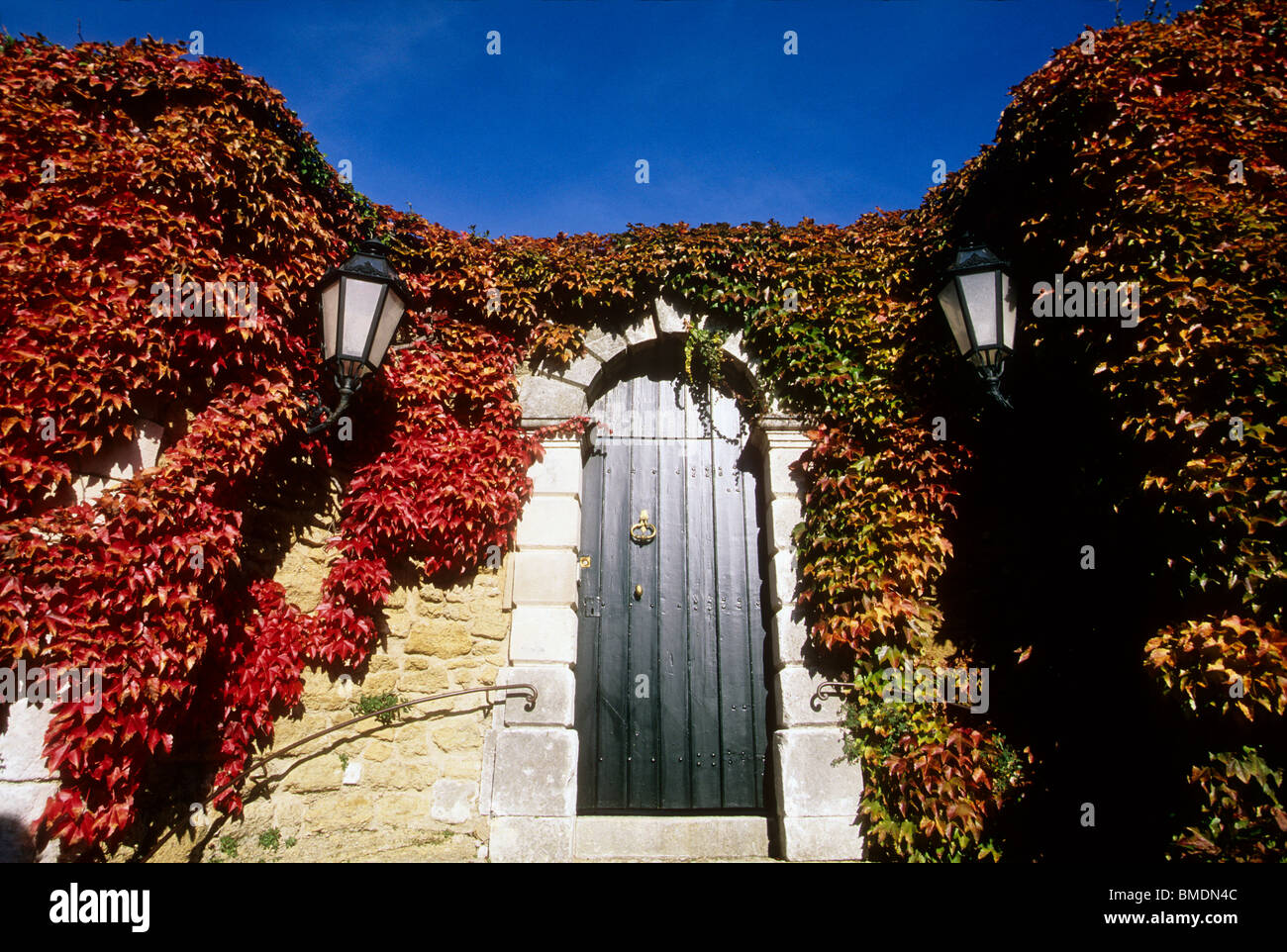 Rosso fogliame autunnale attorno ad una vecchia porta Foto Stock