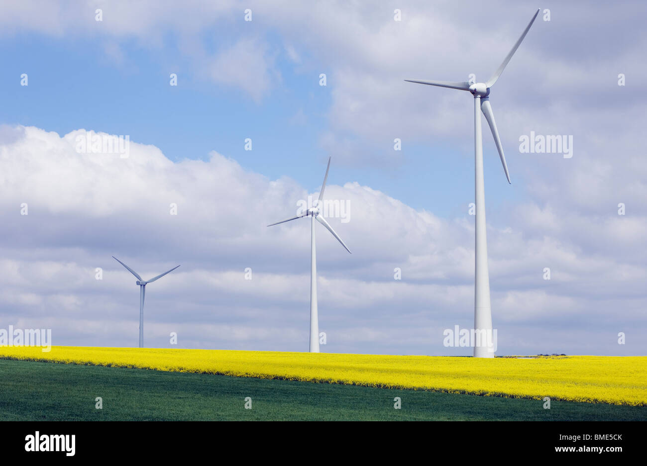 Le turbine eoliche in un giallo canola field contro un blu cielo nuvoloso Foto Stock