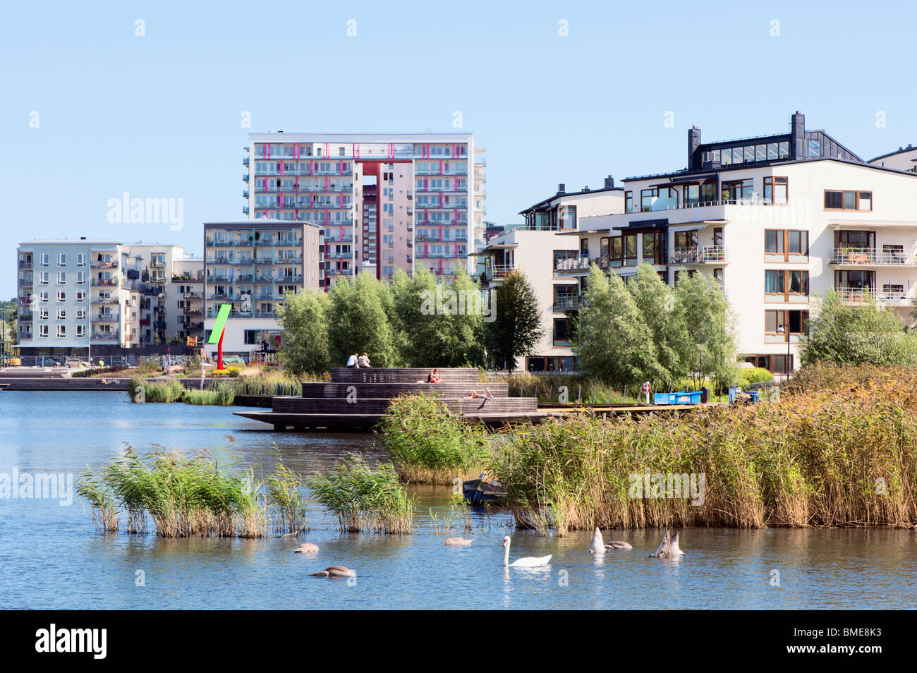 Ance nel fiume vicino alla città Foto Stock Ance nel fiume vicino alla città Foto Stock
