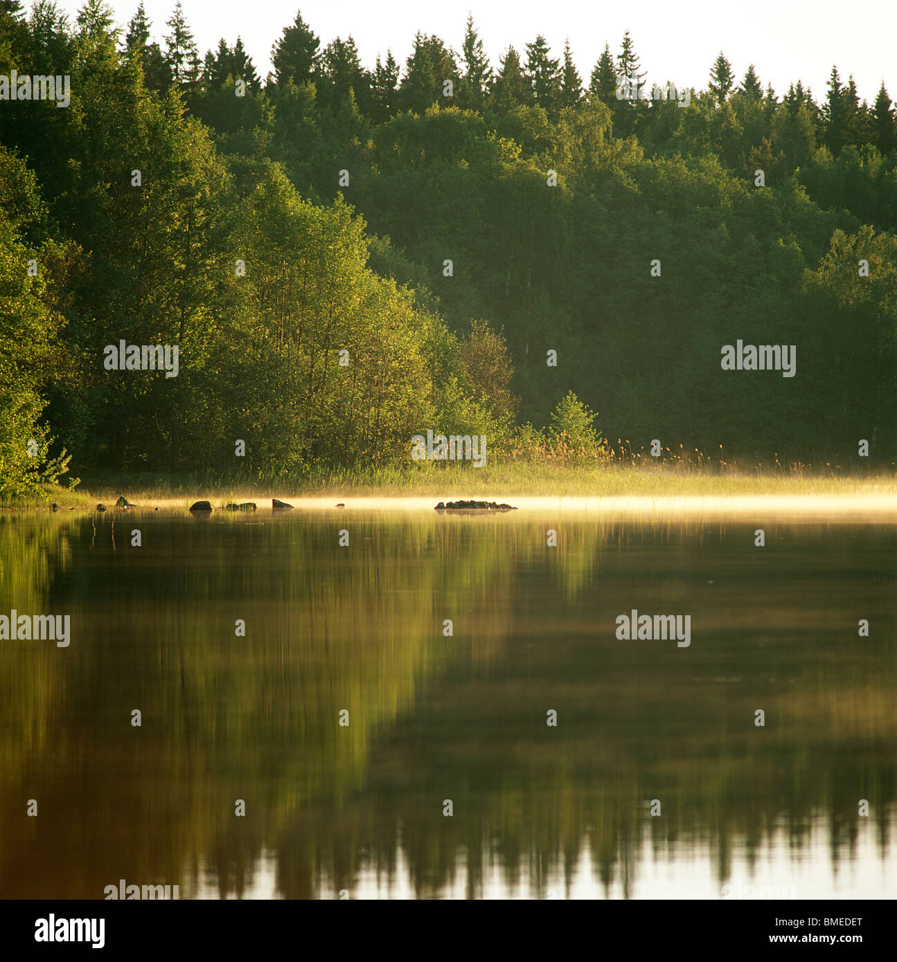 Mattinata nebbiosa sul lago Foto Stock