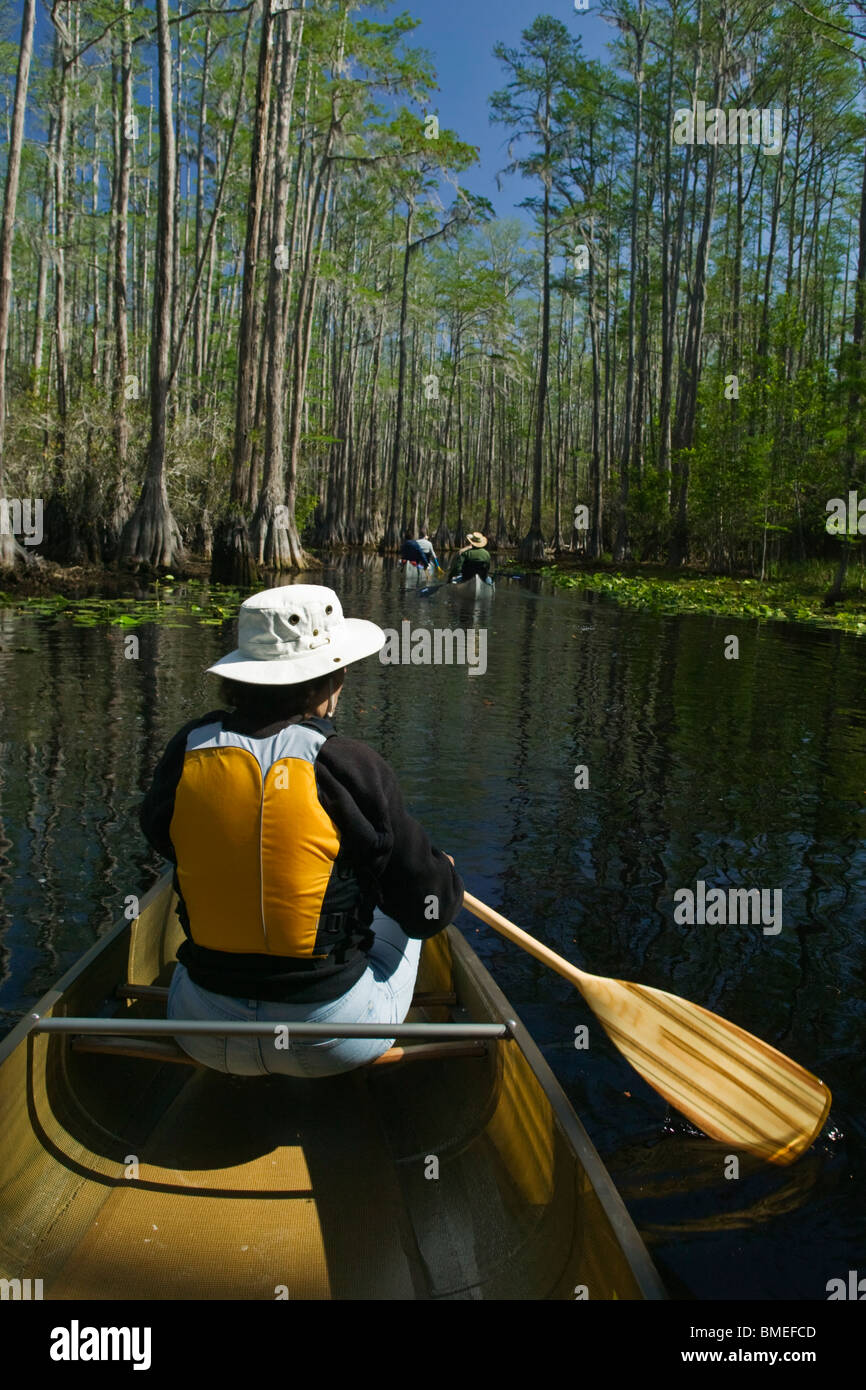 Nord America, USA, vista di persona le barche a remi su swamp Foto Stock