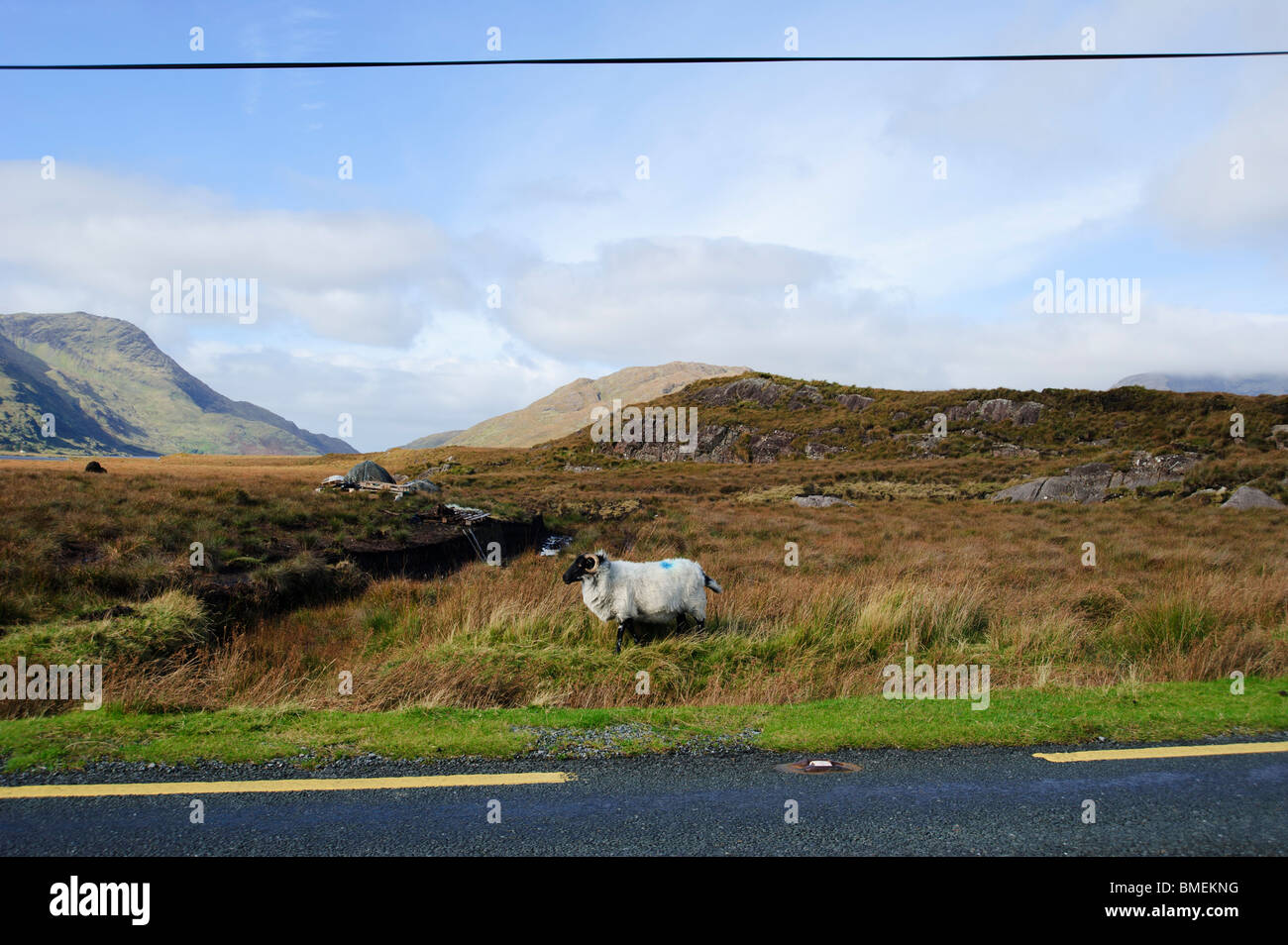 N59, nella contea di Galway, Provincia di Connacht, Irlanda Foto Stock