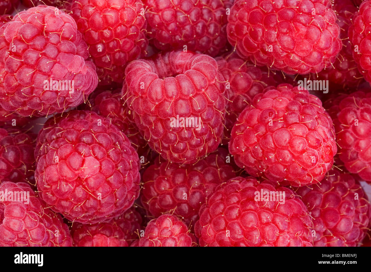 Sfondo di ripe succosa rasberries Foto Stock