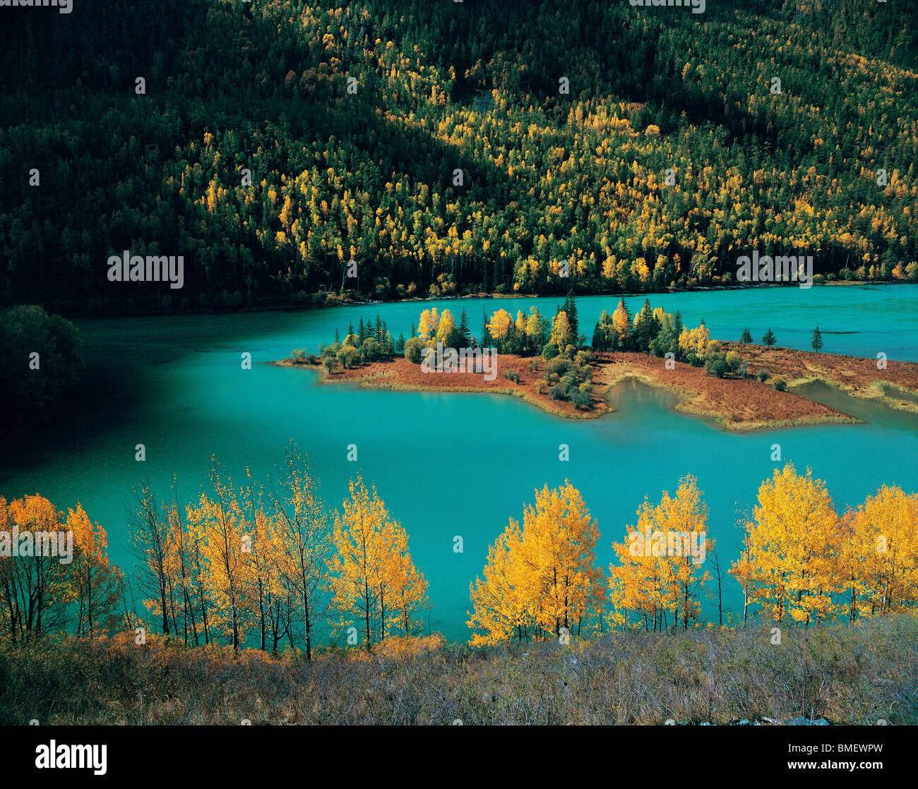 Vista del lago Kanas, Burqin County, prefettura degli Altai, Xinjiang Uyghur Regione autonoma, Cina Foto Stock