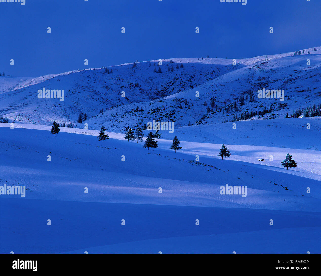 Aertai montagna in inverno, prefettura degli Altai, Xinjiang Uyghur Regione autonoma, Cina Foto Stock