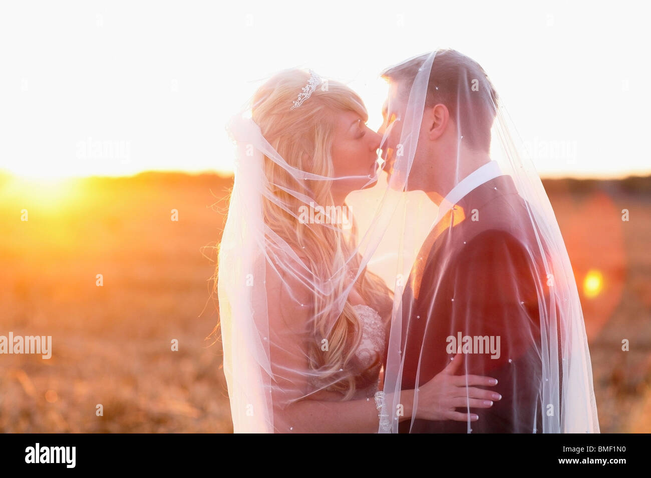 La sposa e lo Sposo baciare in un campo drappeggiati con il velo Foto Stock