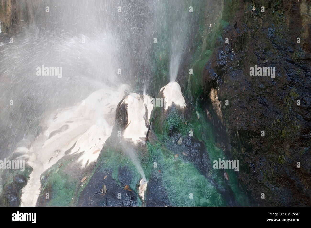 Bocca di rana a Rehai campo geotermico, Tengchong terribili Huoshan National Park, Tengchong, Baoshan, nella provincia dello Yunnan in Cina Foto Stock