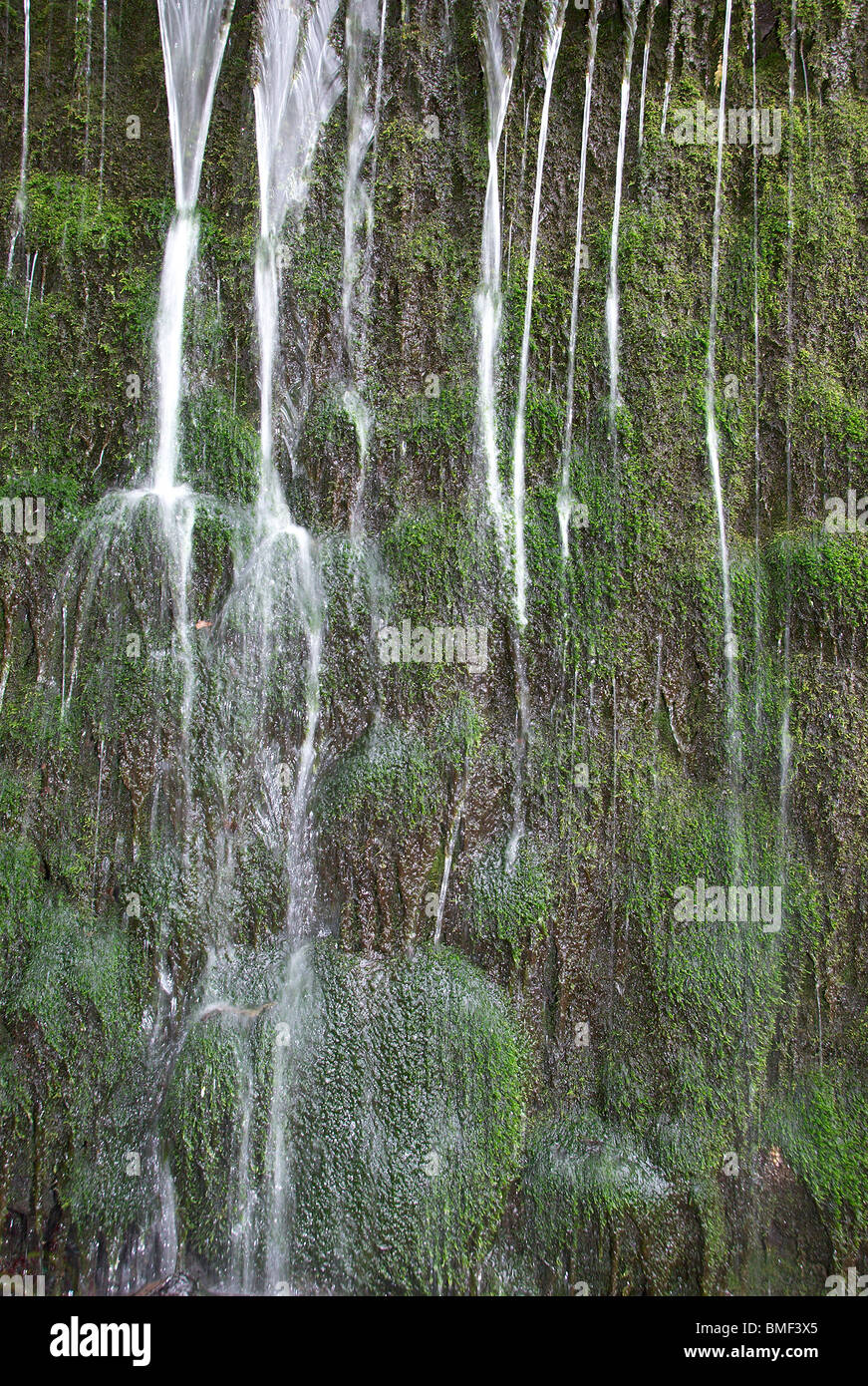 Acqua di sorgente a cascata verso il basso un muschio parete coperta Foto Stock