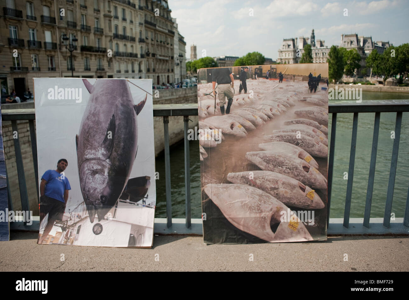 Attivisti ambientali di Greenpeace che manifestano contro la pesca del tonno delle pinne azzurre, Giornata nazionale di protesta, Parigi, Francia, diversi segnali di campagna Foto Stock