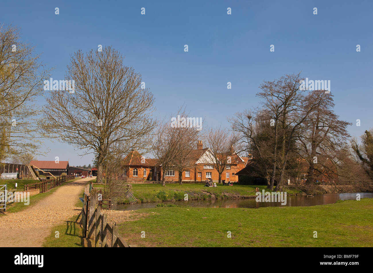 Easton Farm Park a Easton , Woodbridge , Suffolk , Inghilterra , Gran Bretagna , Regno Unito Foto Stock